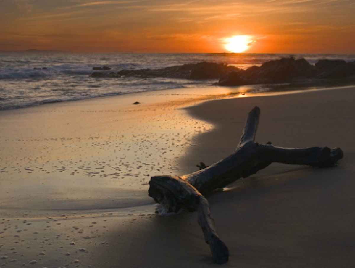 Beach at dawn